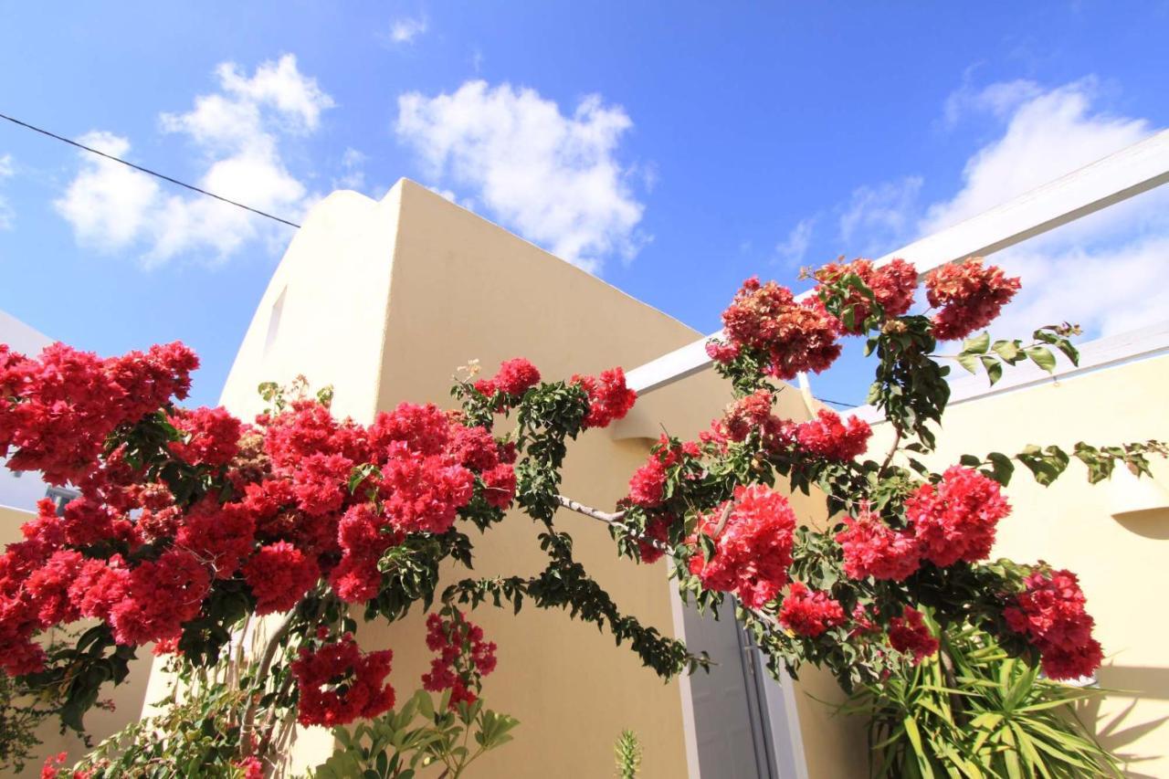 Ersi Villas Тира Экстерьер фото